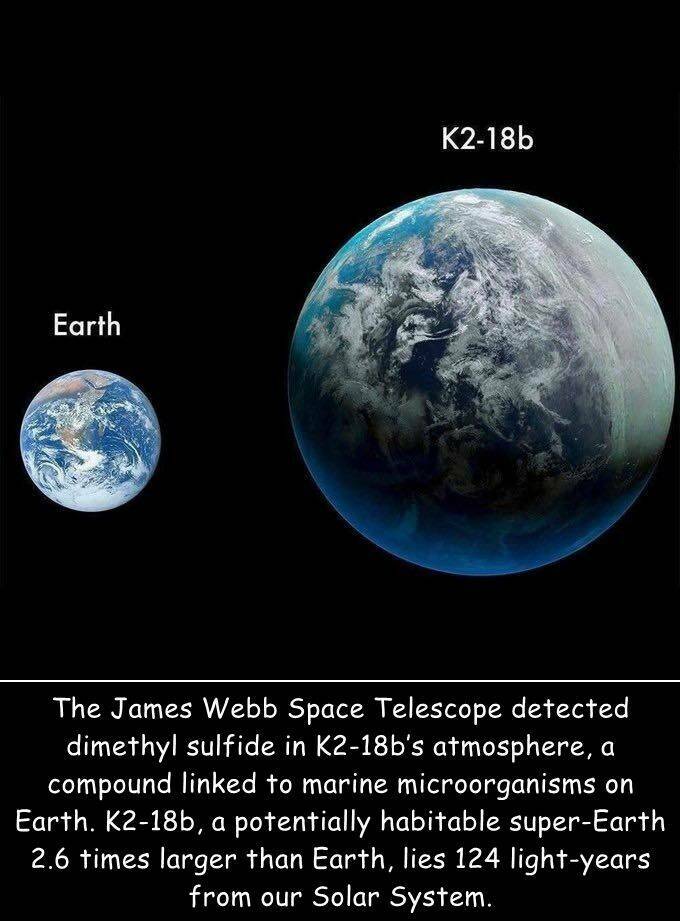 Daily Picdump Daily Picdump