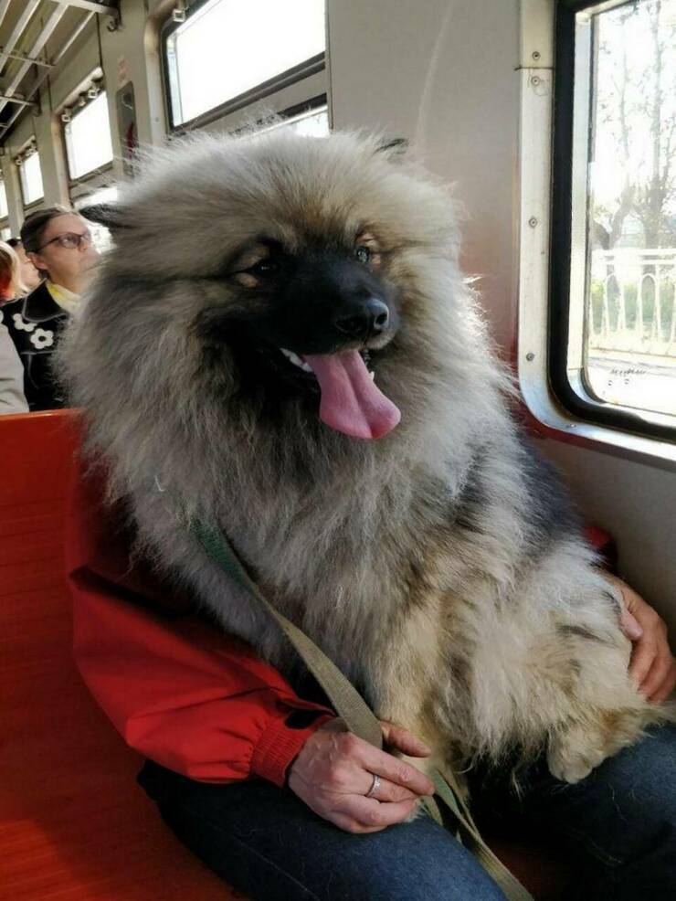 Daily Picdump Daily Picdump