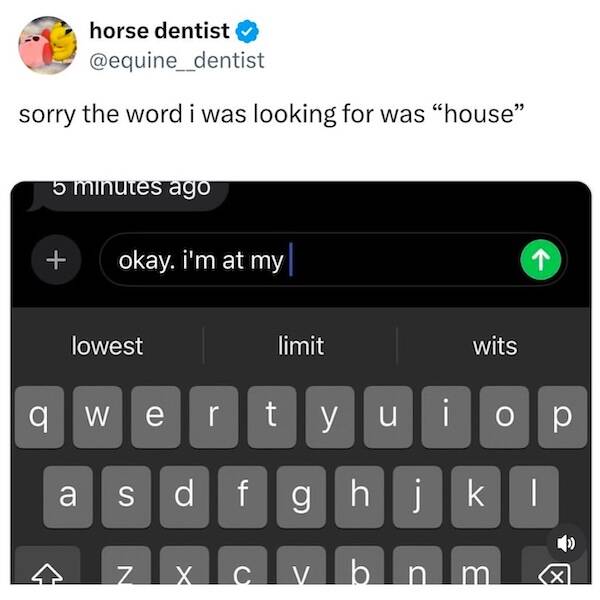 Dumb Memes For Smart People