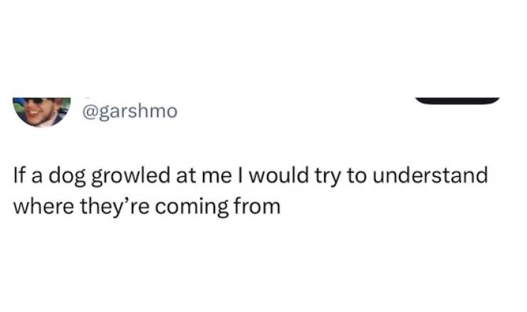 Dumb Memes For Smart People