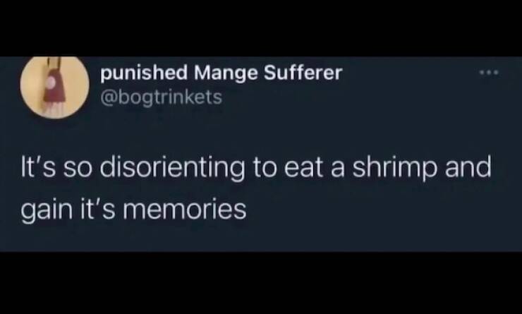 Dumb Memes For Smart People