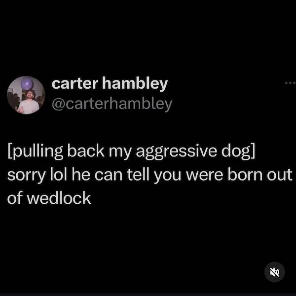 Dumb Memes For Smart People