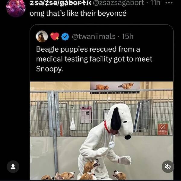 Dumb Memes For Smart People