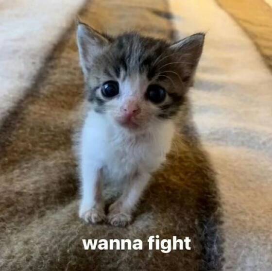 Funny Picdump Funny Picdump