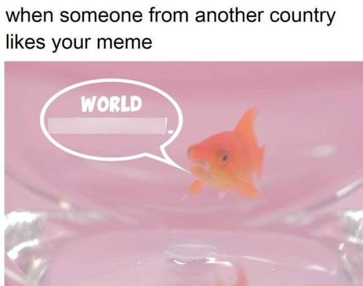 Funny Picdump Funny Picdump