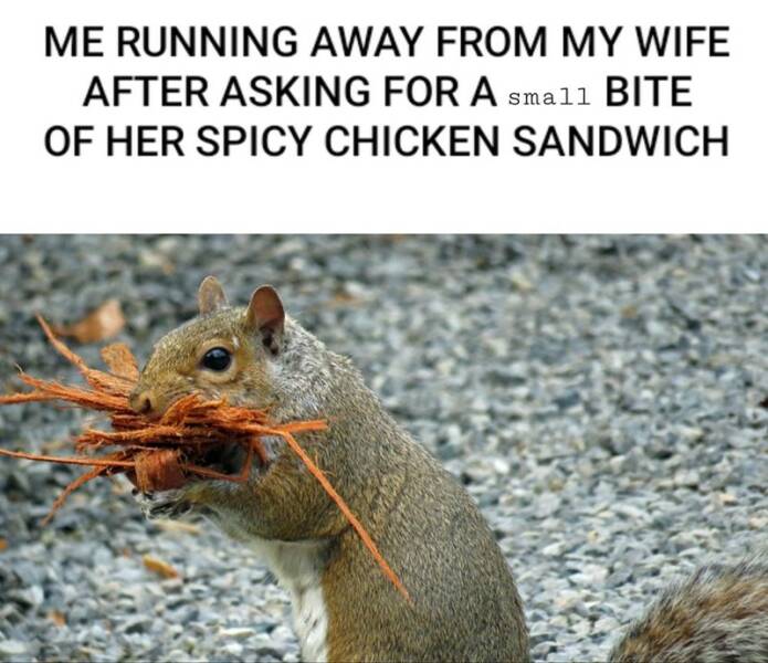 Funny Picdump Funny Picdump