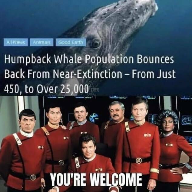 Funny Picdump Funny Picdump