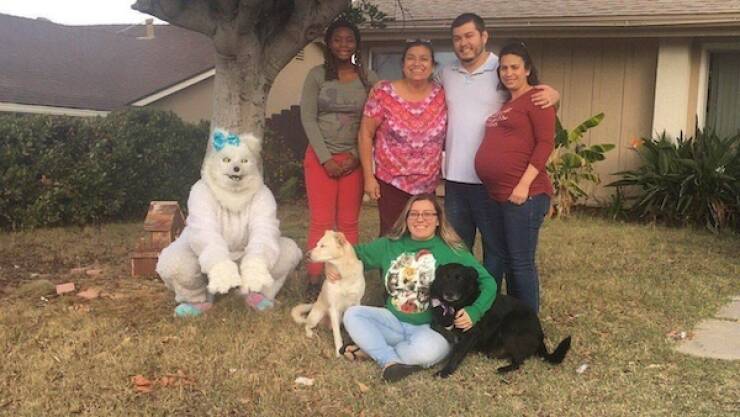 Logic Checked Out Hours Ago