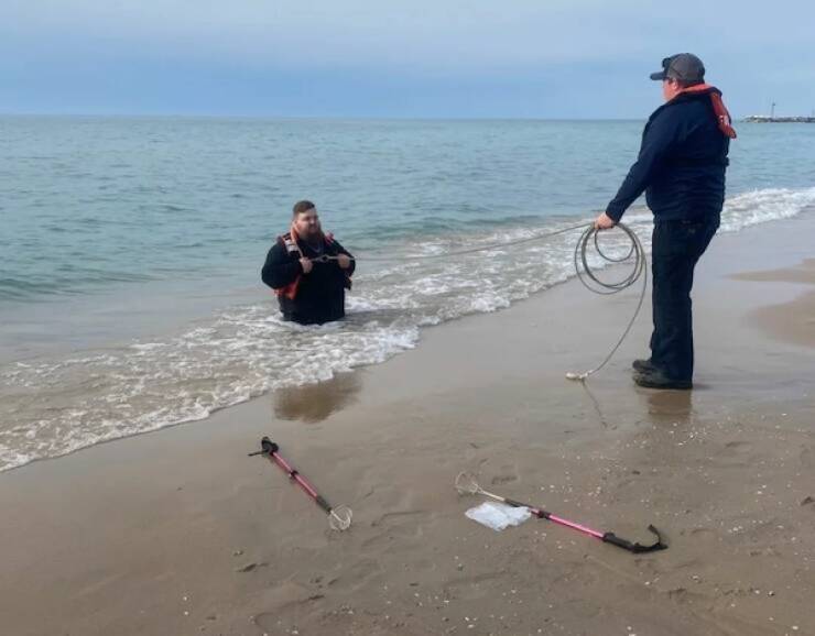 Logic Checked Out Hours Ago