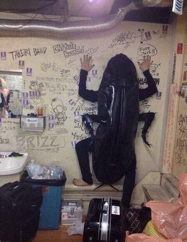 Logic Checked Out Hours Ago