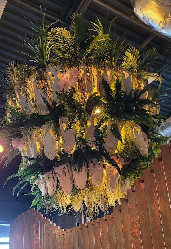 Logic Checked Out Hours Ago