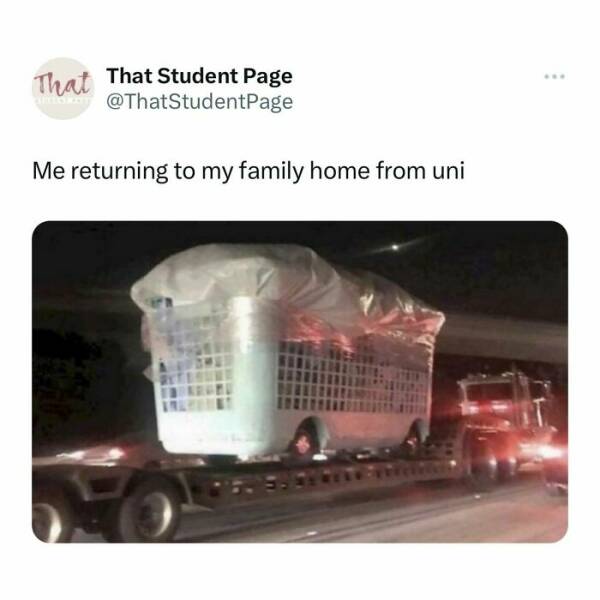 Memes That Perfectly Sum Up Student Life Memes That Perfectly Sum Up Student Life