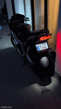 Daily Gifdump Daily Gifdump