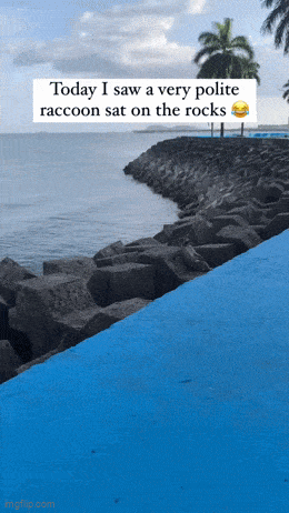 Daily Gifdump Daily Gifdump