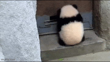 Daily Gifdump Daily Gifdump