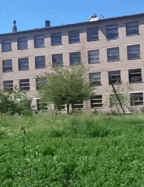 Daily Gifdump Daily Gifdump