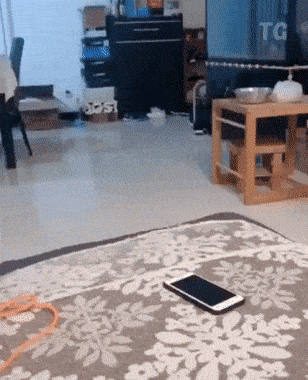 Daily Gifdump Daily Gifdump