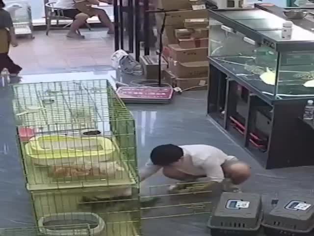 They Say Hes Still Trying