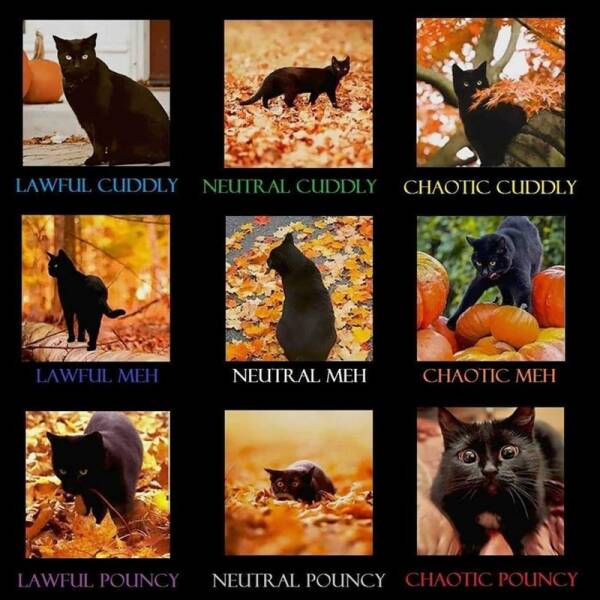 Funny Picdump Funny Picdump