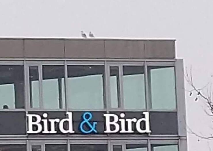 Funny Picdump Funny Picdump