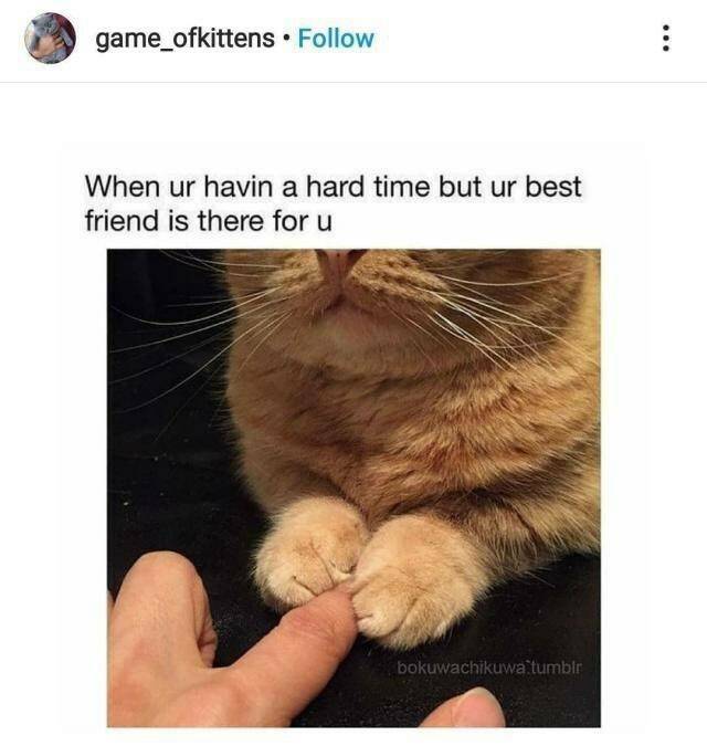 Funny Picdump Funny Picdump