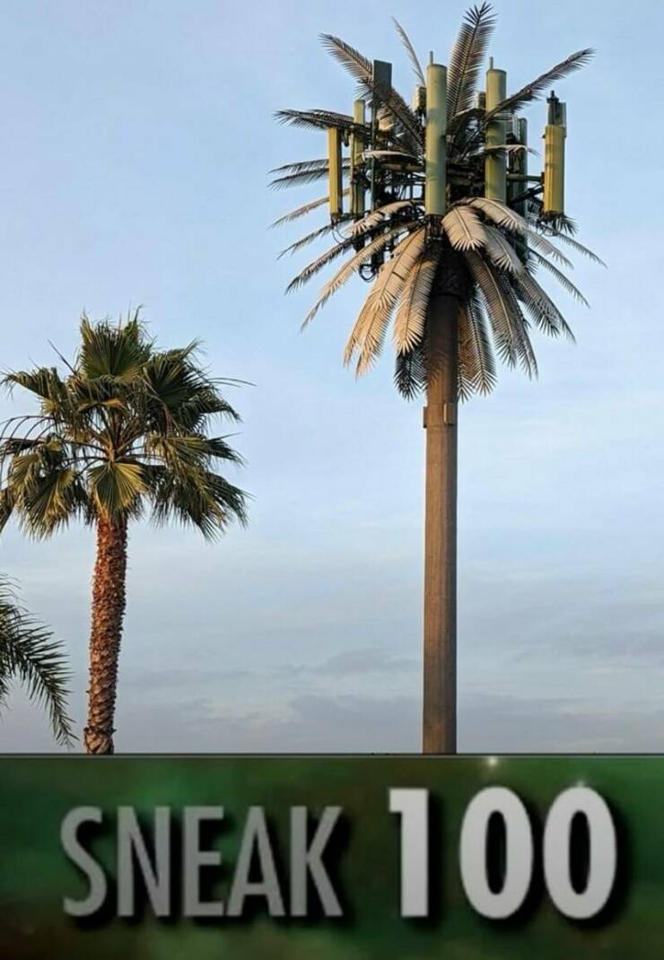 Funny Picdump Funny Picdump