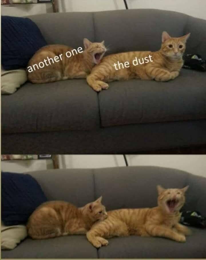 Funny Picdump Funny Picdump