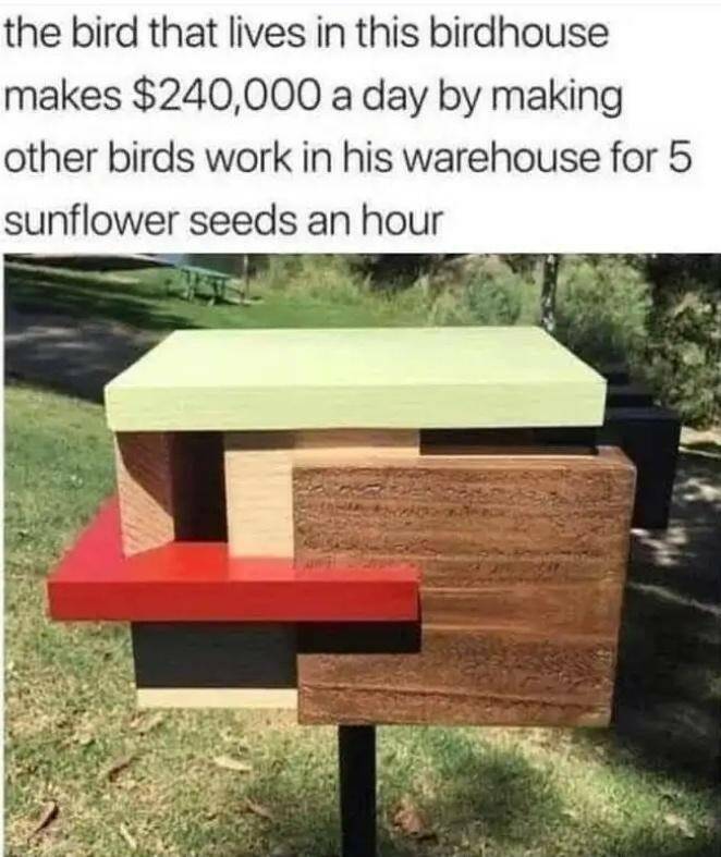 Funny Picdump Funny Picdump