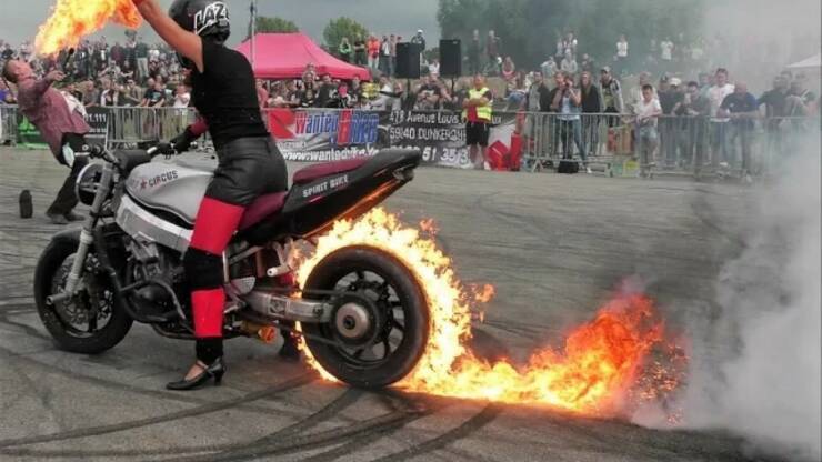 Morning Picdump