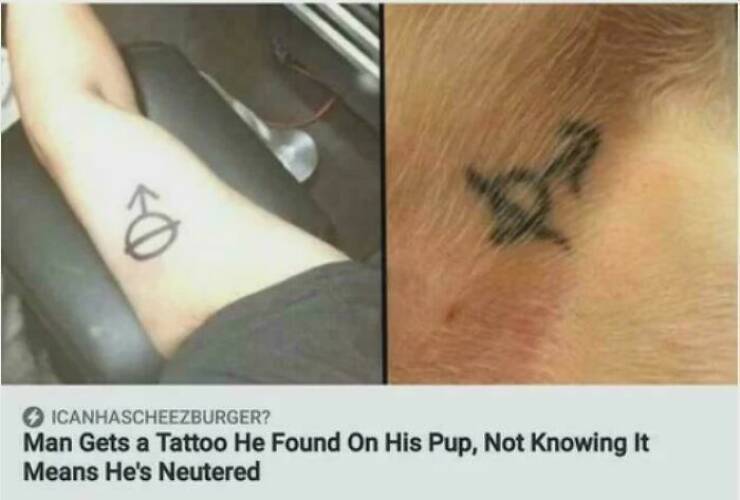 This Shouldn’t Exist, But Here We Are