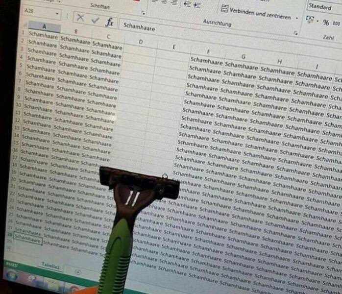 This Shouldn’t Exist, But Here We Are