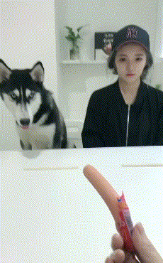 Daily Gifdump Daily Gifdump