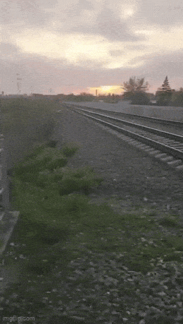 Daily Gifdump Daily Gifdump