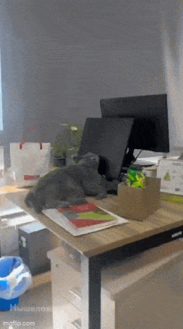 Daily Gifdump Daily Gifdump