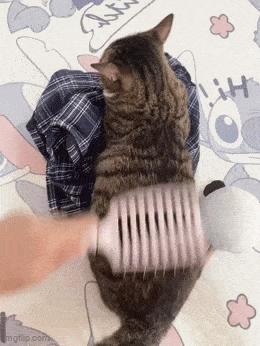 Daily Gifdump Daily Gifdump