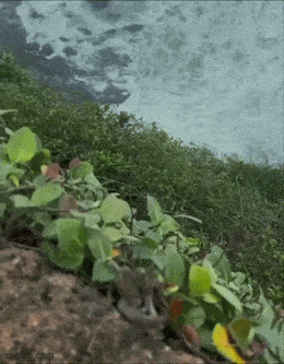 Daily Gifdump Daily Gifdump