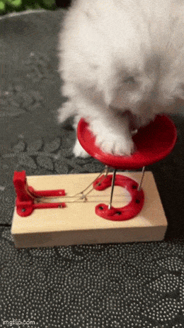 Daily Gifdump Daily Gifdump