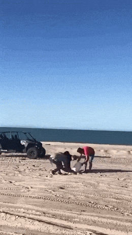 Daily Gifdump Daily Gifdump