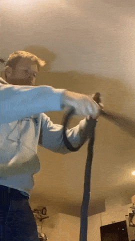 Daily Gifdump Daily Gifdump