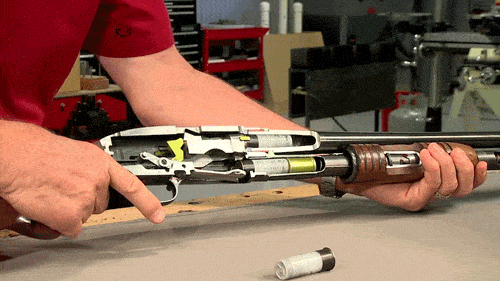 Daily Gifdump Daily Gifdump