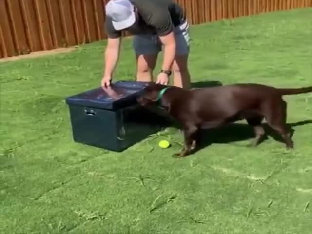 Meeting A New Family Member