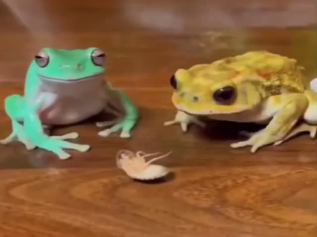 The Look Of Betrayal In His Eyes