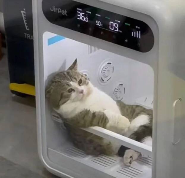 Daily Picdump