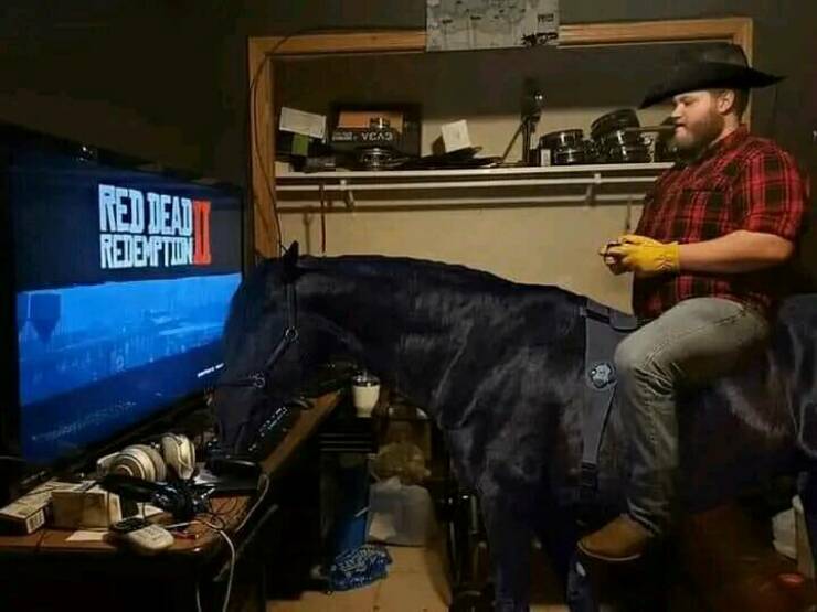 Daily Picdump
