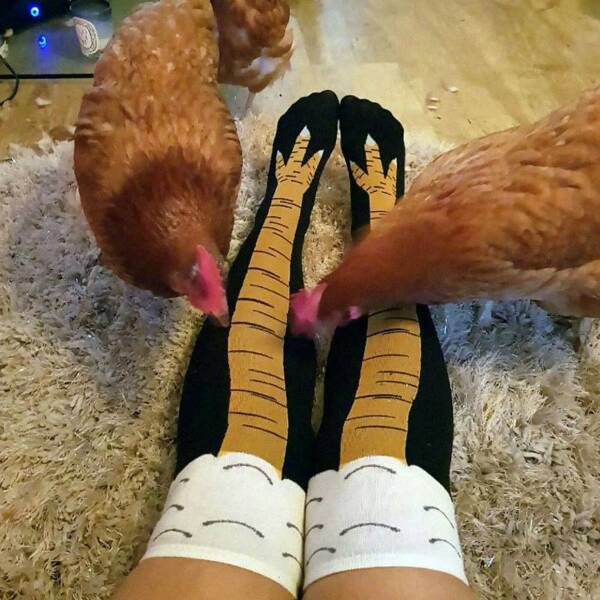 Daily Picdump
