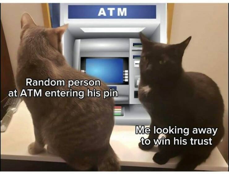 Funny Picdump Funny Picdump