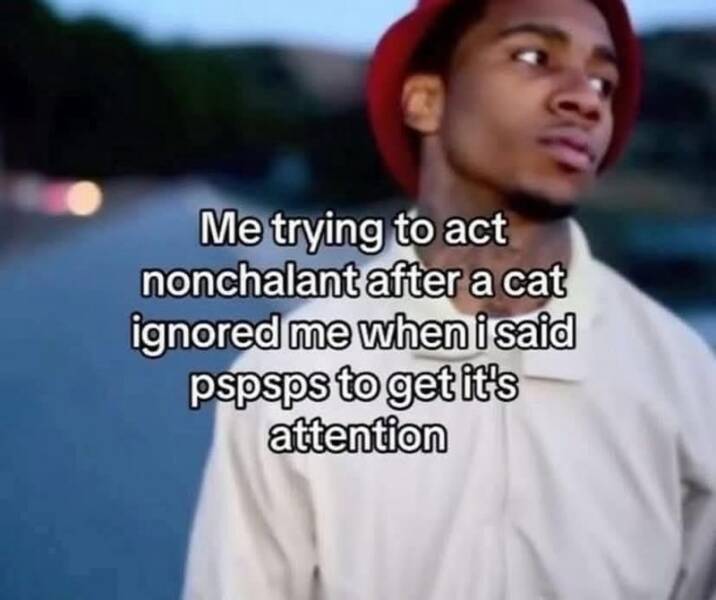 Funny Picdump Funny Picdump