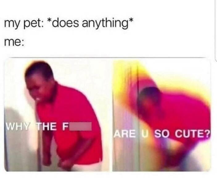 Funny Picdump Funny Picdump