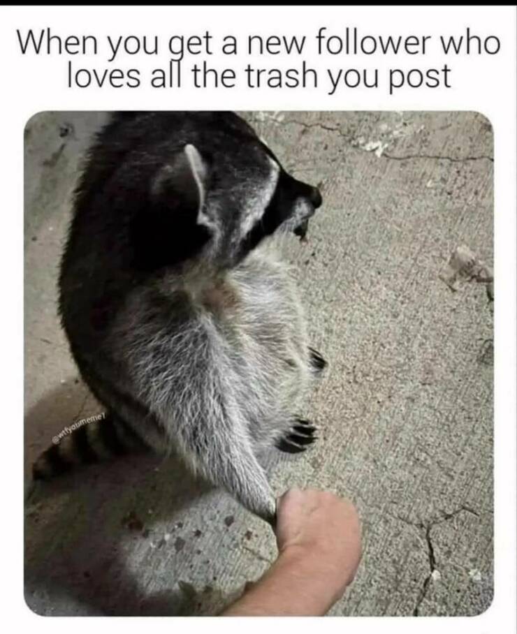 Funny Picdump Funny Picdump