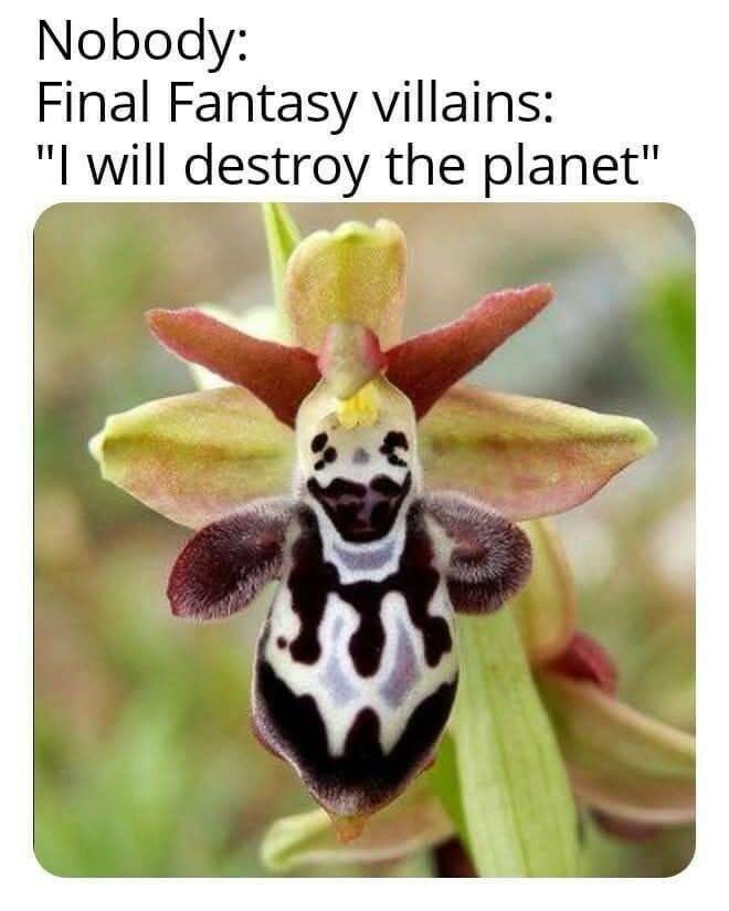 Funny Picdump Funny Picdump